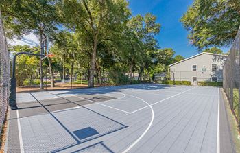 Dominium-Enclave at Pine Oaks-Basketball Court